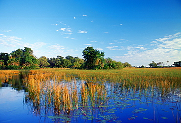 Okavango Delta in Botswana, Africa