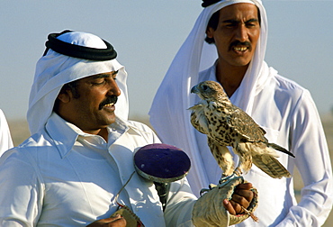 Falconers with a falcon in Qatar