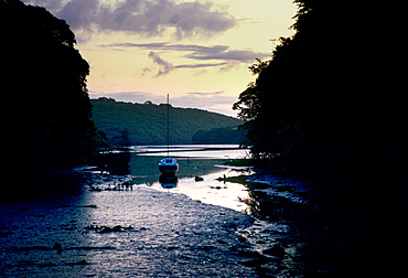 A view at dawn of a sailing boat moored at low tide on the Helford River at Trelowarren Mills, Cornwall, United Kingdom.