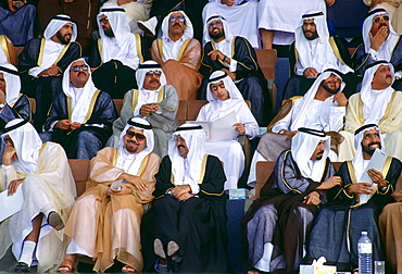 Audience watching anniversary parade, Abu Dhabi