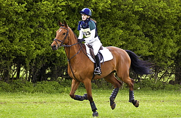 Young woman rides Cleveland Bay cross Thoroughbred bay horse in cross-country section at eventing competition, United Kingdom