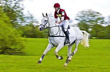 Young man rides a grey mare horse cross-country in an eventing competition, United Kingdom