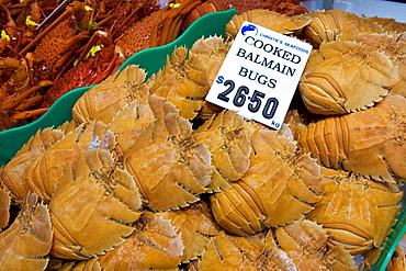 Cooked Balmain Bugs for sale at Sydney Fish Market, Darling Harbour, Australia