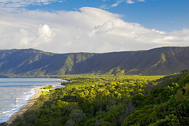 Rex lookout, Captain Cook Highway, Queensland coastline and rainforest, Australia