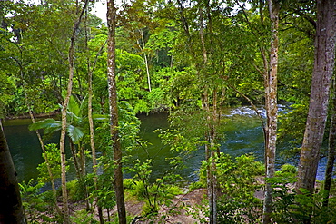 Mossman River in the Daintree Rainforest, Far North Queensland, Australia