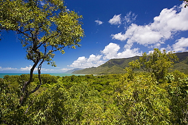 View of Thala Beach and the Coral Sea from the Thala Beach Lodge, Port Douglas, Australia