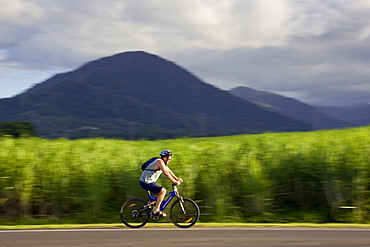 Cyclist passes a sugar cane field at Freshwater Connection, Australia