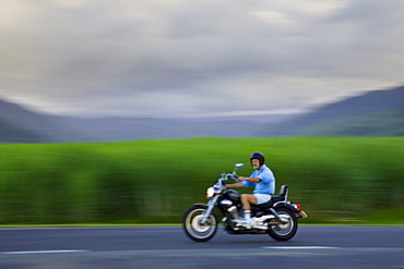 Motorcyclist passes sugar cane field at Freshwater Connection, Australia