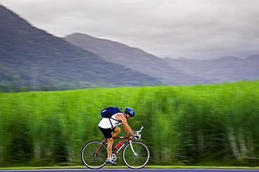 Cyclist passes a sugar cane field at Freshwater Connection, Australia