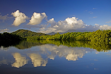 Mossman River, Daintree Rainforest, Australia