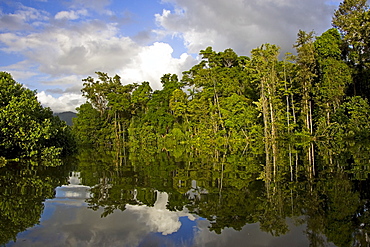 Mossman River, Daintree Rainforest, Australia