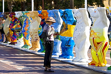 Tourist admires the Unicef charity fundraising United Buddy Bears in Sydney, New South Wales, Australia