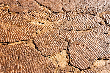 Ripple marks preserved in the Mereenie sandstone at King's Canyon, Northern Territory, Australia