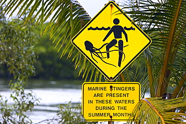 Marine stingers warning sign on Myall Beach by Cape Tribulation, Queensland, Australia