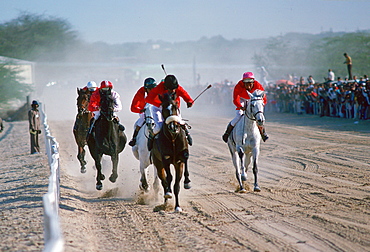 Horseracing in Bahrain.