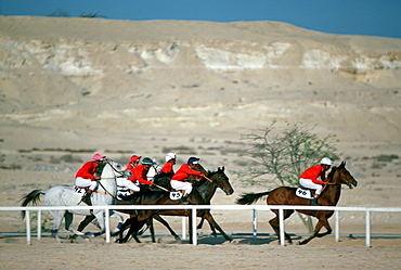 Horseracing in Bahrain.