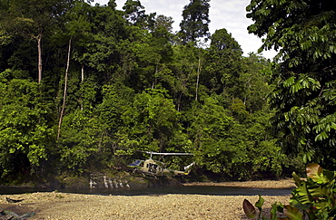 Military helicopter hovers in clearing in Ulu Temburong National Park, Brunei