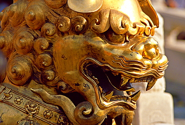 Chinese dragon statue in the Forbidden City, Peking, China