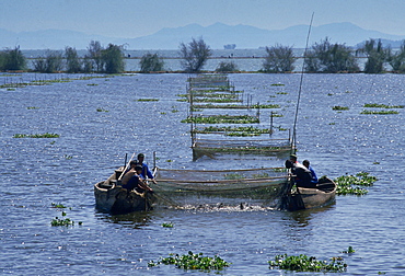 Fishermen lifting netson Lake Dianchi, Kunming, China