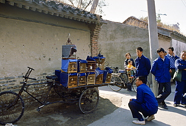 Song Birds For Sale, China.