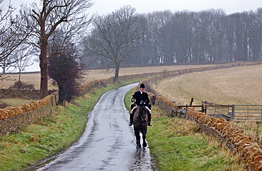 A lone huntsman returns home after taking part in the Heythrop New Year's Day Hunt, Oxfordshire