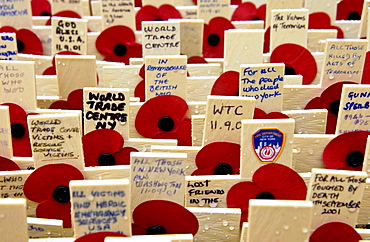 CROSSES IN THE ROYAL BRITISH LEGION FIELD OF REMEMBRANCE AT ST MARGARET'S CHURCH, WESTMINSTER, LONDON INCLUDE MANY FOR THE VICTIMS OF THE WORLD TRADE CENTRE DISASTER.