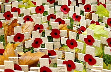 CROSSES IN THE ROYAL BRITISH LEGION FIELD OF REMEMBRANCE AT ST MARGARET'S CHURCH, WESTMINSTER, LONDON