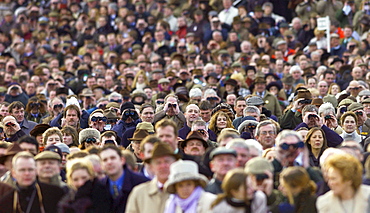 The Cheltenham Festival crowd watching the big race of the day, Cheltenham, Gloucestershire, UK