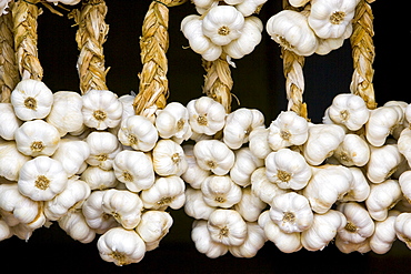 Plaits of garlic for sale, Bastide d'Armagnac, France