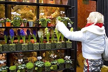 Woman visits florist shop and chooses plant near Boulevard Saint Germain, Latin Quarter, Paris, France