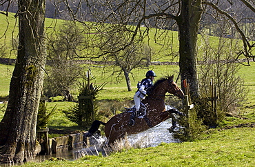 Young woman rides a Cleveland Bay cross Thoroughbred horse  in  cross-country eventing competition, Gloucestershire, UK