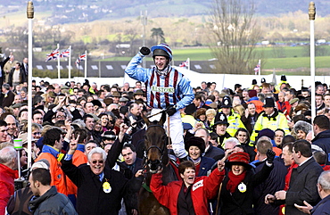 Gold Cup winning jockey Jim Culloty riding race horse "Best Mate" makes his way triumphantly through the crowds at the Cheltenham National Hunt Festival.