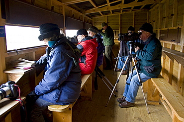 Birdwatchers inside bird hide watch migrating geese over-wintering near Holkham, Norfolk, East Anglia, United Kingdom