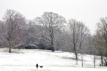 Woman walks dog on winter's day across snow-covered Hampstead Heath, North London, England, United Kingdom