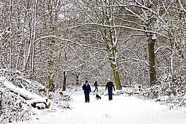 Couple on a winter's day walk the dog across snow-covered Hampstead Heath, North London, United Kingdom