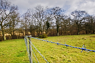 Barbed wire fence in Oxfordshire field, Bruern, The Cotswolds, United Kingdom