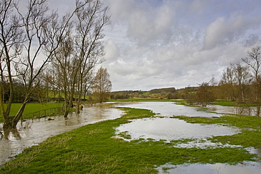 Flooded field in Oxfordshire, The Cotswolds, United Kingdom