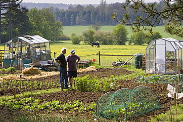 Gardeners chat beside their allotments, Chadlington, Oxfordshire, United Kingdom