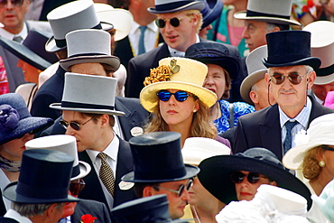 Racegoers watch the day's racing at Ascot Races, Surrey, United Kingdom