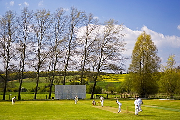 Locals play cricket, Swinbrook, The Cotswolds, United Kingdom