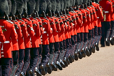 Foot Guards of the Household Division at Military Parade parade, London, UK