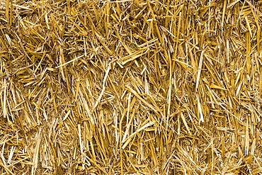 Straw in a bale, Cotswolds, United Kingdom