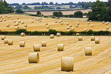 Straw bales in the Cotswolds at Swinbrook in Oxfordshire, United Kingdom