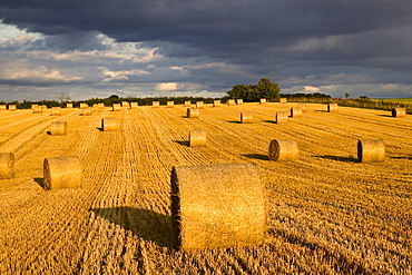 Straw bales below a stormy sky, Swinbrook, the Cotswolds, United Kingdom