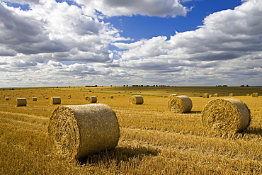 Straw bales, Swinbrook, Cotswolds, United Kingdom