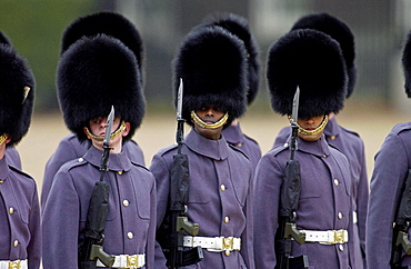 Guard of Honour wearing bearskins lining up for a military parade in London