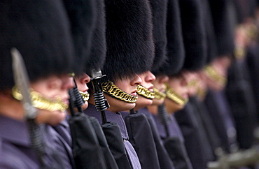 The Household Division Foot Guards guardsmen standing at attention on parade in London, UK