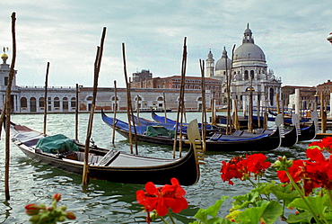 Cathedral of Santa Maria Della Salute seen from across the Grand Canal, Venice, Italy