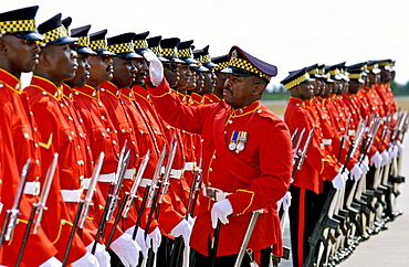 Soldiers of the Jamaica Defence Force are made ready for inspection