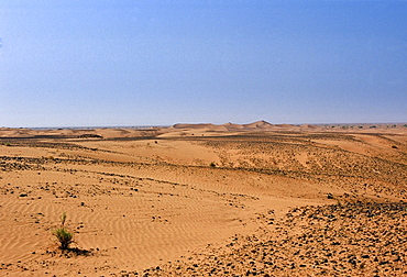 Sand dunes in Sahara Desert, Morocco, North Africa